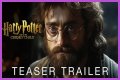Harry Potter and The Cursed Child: The Sequel