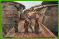 Star Wars Jedi: Survivor - How to Unlock All Locked Houses in Rambler's Reach Outpost